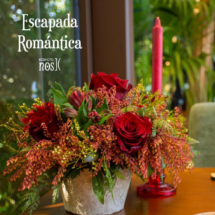 Eco Hotel Nos Сиеда Екстериор снимка